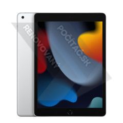 Apple iPad 9th Gen Wi-Fi+Cellular Silver; 256GB, A13 Bionic